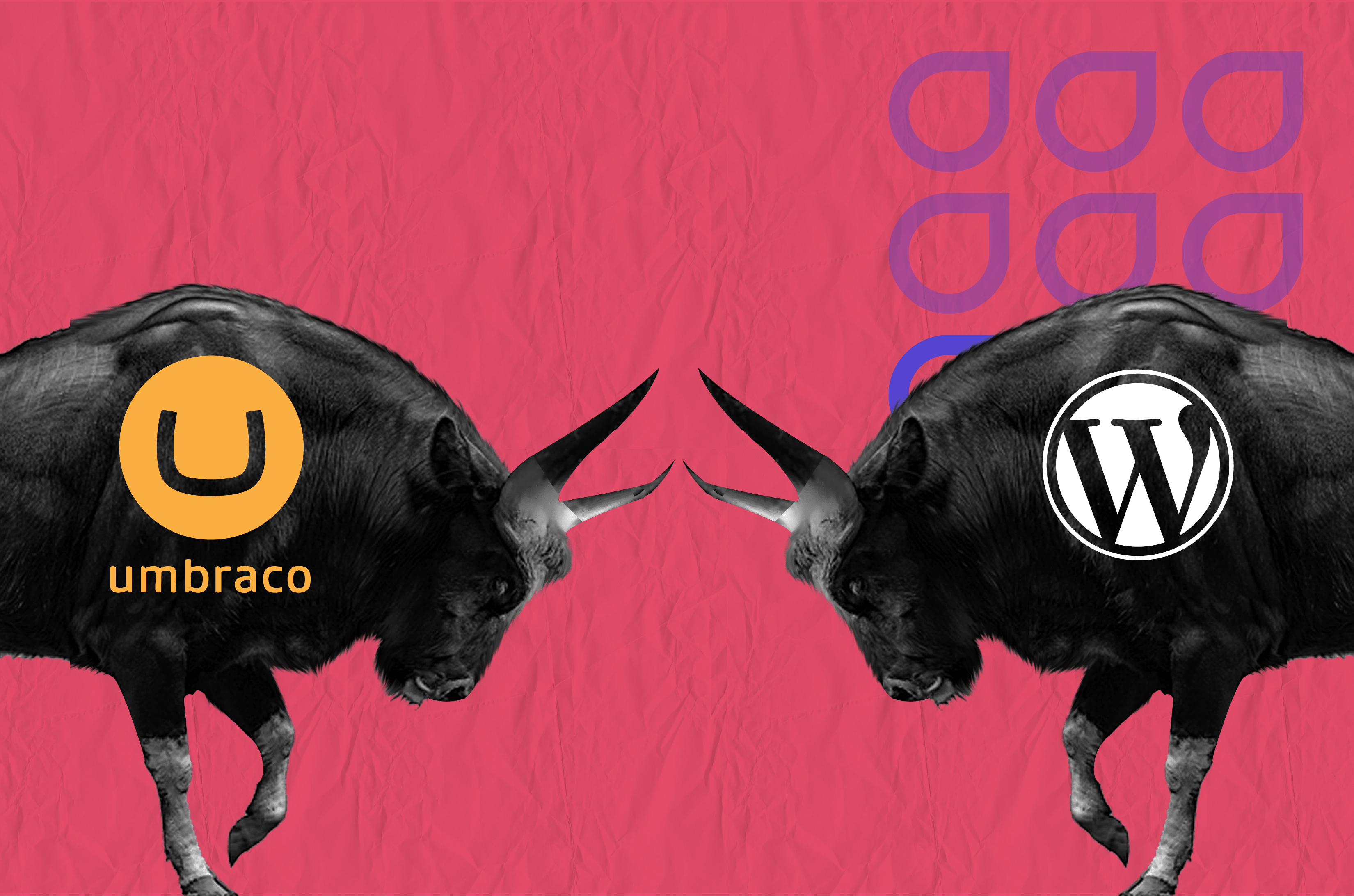 Umbraco VS WordPress